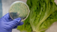 Romaine lettuce recall expands to more grocery stores