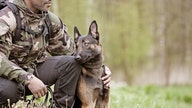 These dogs are training to defend our freedom