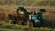 Trade deals position US farmers for ‘record year of exports’: US agriculture secretary