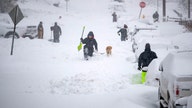 Hundreds of flights cancelled across the US after winter storms