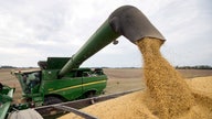 China buys US soybeans after Beijing issues new tariff waivers: Traders