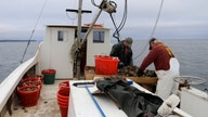 Maryland wants more visas for foreign workers in seafood industry