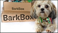BarkBox credits Amazon for $250M boom in subscription business