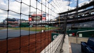 All 30 MLB teams to have safety nets for 2020 after fan injuries