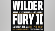 Wilder vs Fury in line for a 'heavy' payday in boxing rematch