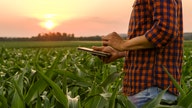 Millennial farmer turned YouTube influencer gives behind-the-scenes look at agriculture