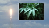 SpaceX to launch hemp into space in 2020