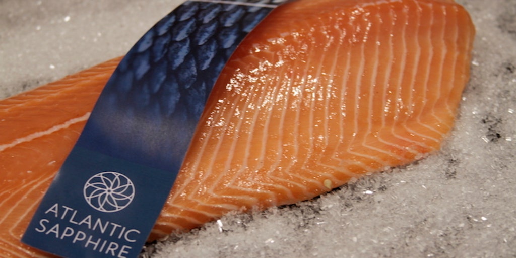 salmon fish farm in florida aims to