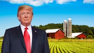 Trump's China deal, USMCA relieve Iowa farmers rocked by trade war