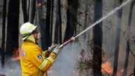 Australian wildfires may impact global food supply