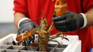 China deal might not bail out lobster industry this New Year