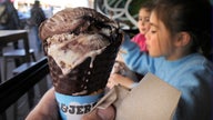 Ben & Jerry's asks judge to dismiss 'happy cow' lawsuit