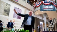 Dems 2020: Sanders, Warren score biggest celebrity endorsements