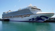 Princess Cruise Lines slapped with bedbug lawsuit alleging rampant infestation
