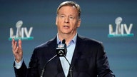 NFL Commissioner Roger Goodell addresses potential retirement