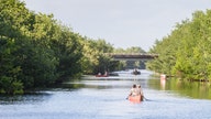 Florida saves 20K acres of Everglades wetlands from oil drilling