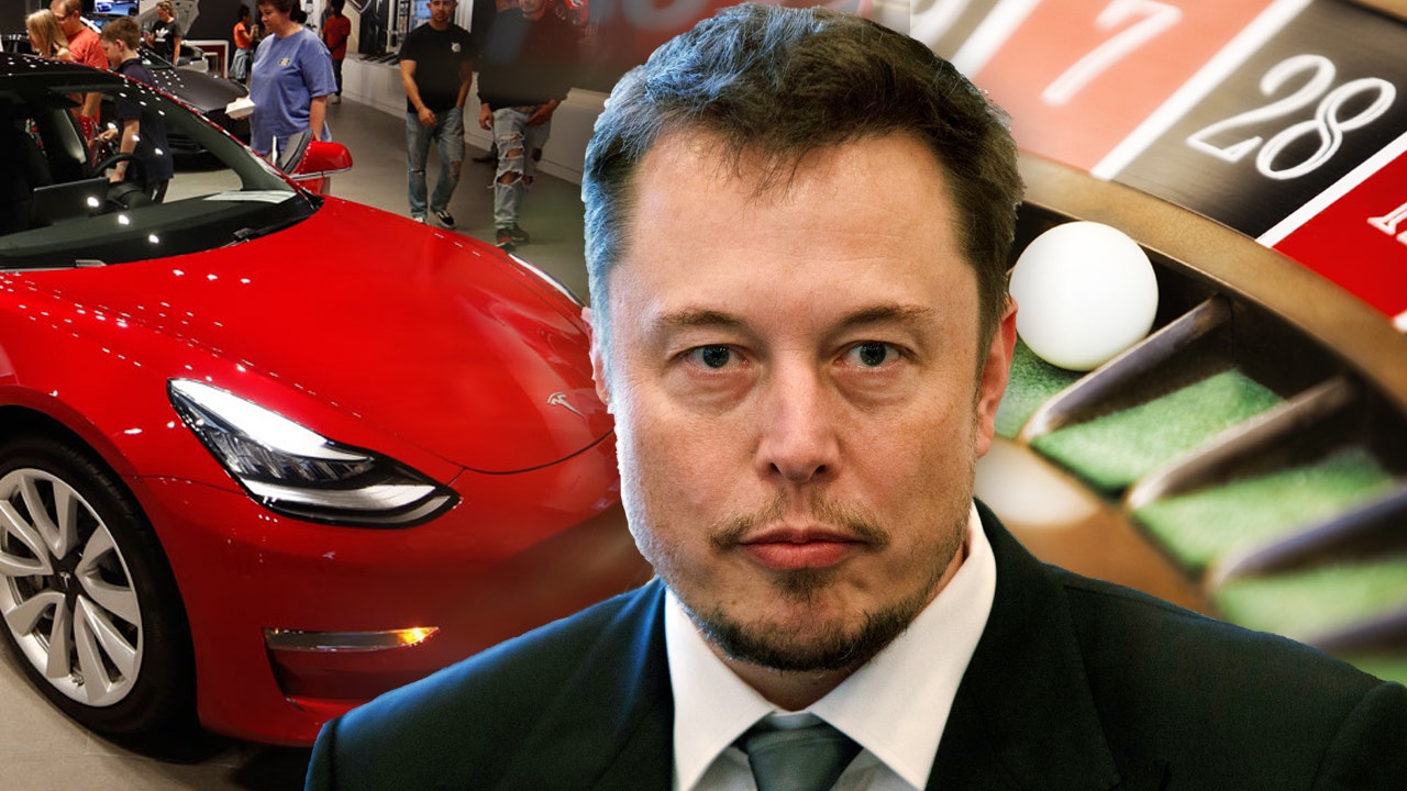 Tesla's Elon Musk rails against government coronavirus mandates | Fox ...