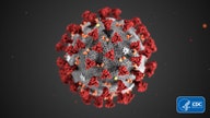 New coronavirus needs a 'catchy' name, but scientists are struggling
