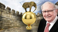 Why Warren Buffett likes elephants and moats