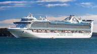 Cruise ship returning to US as hundreds sickened with stomach bug