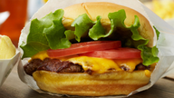 Shake Shack slammed after weak sales at burger chain