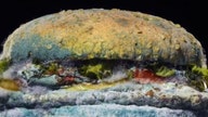 Burger King shows moldy Whopper in new ad campaign