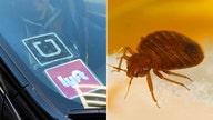 Uber, Lyft cars treated for bedbugs in Dallas