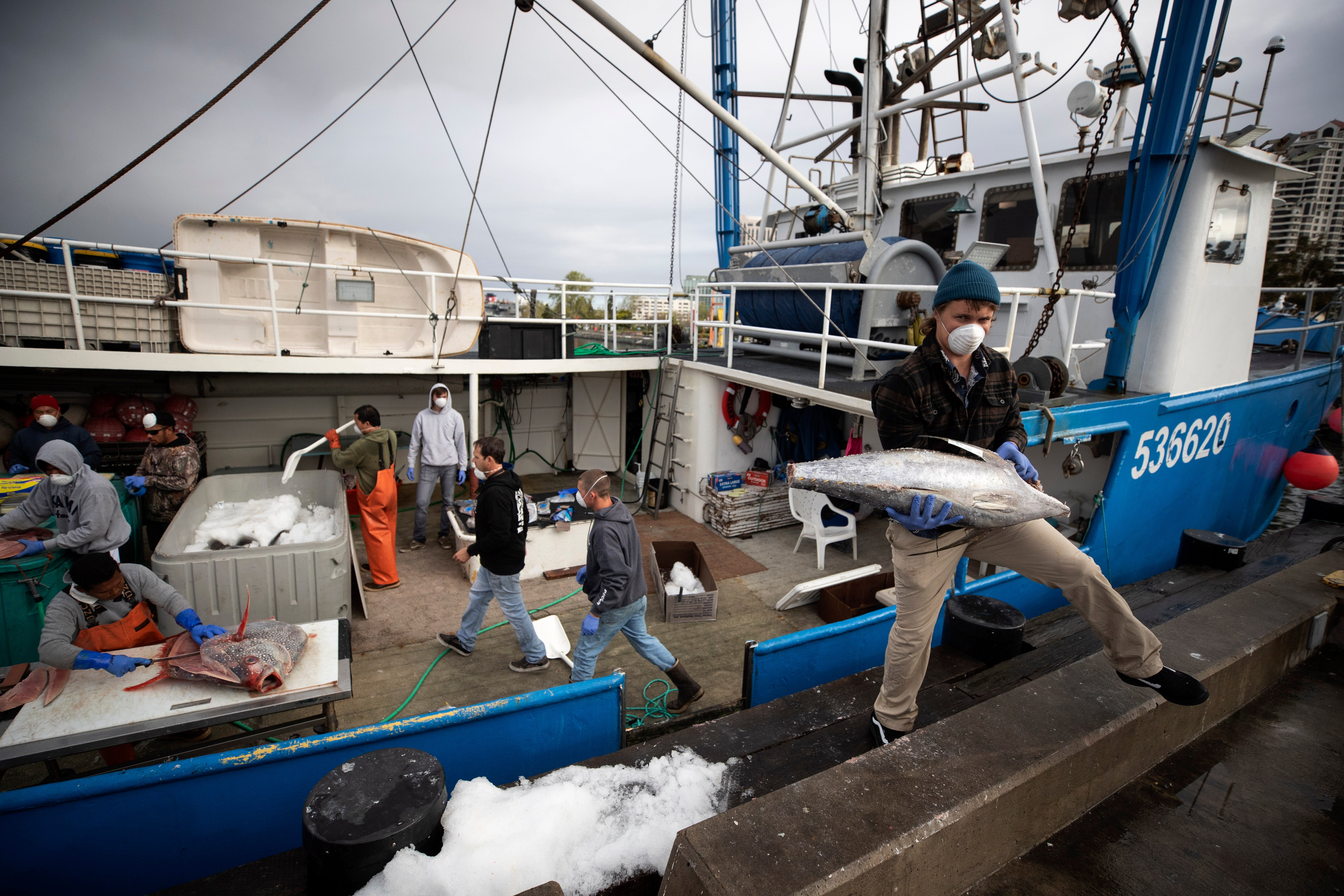 Amid Coronavirus Fishermen Return From Sea With Big Catch No Place To Sell Fox Business