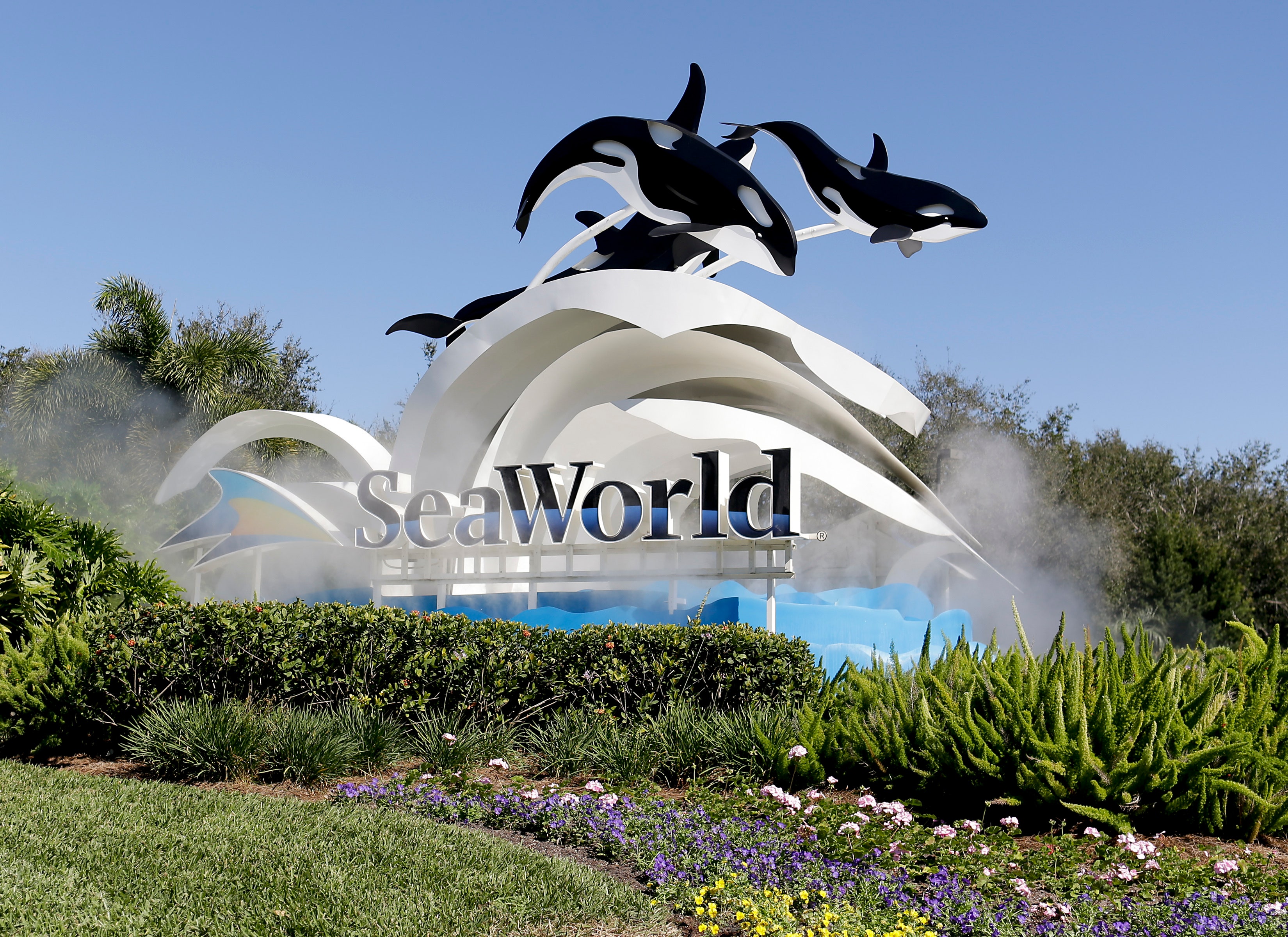 SeaWorld to reopen San Antonio park June 19 | Fox Business