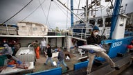 Amid coronavirus, fishermen return from sea with big catch, no place to sell