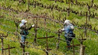 USDA to start debt forgiveness for Black farmers in June