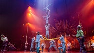 Cirque du Soleil files for bankruptcy protection