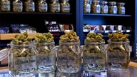 Marijuana dispensaries get lit amid coronavirus lockdowns