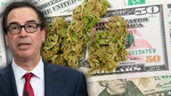 IRS tripped up by cash-only pot industry, Mnuchin says