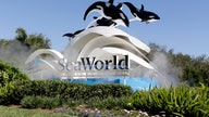 SeaWorld to reopen San Antonio park June 19