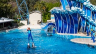 Coronavirus forces SeaWorld to furlough over 90% of employees