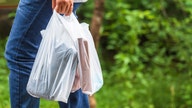 Walmart, Target, CVS partner in search of plastic bag alternative