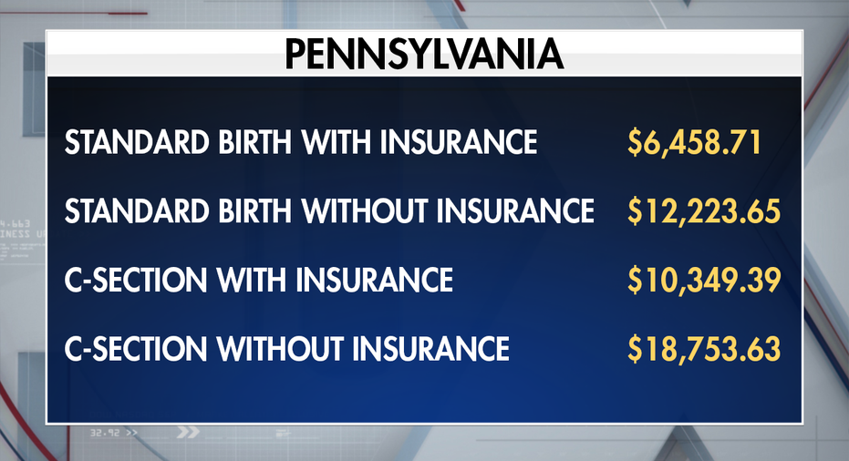 How Much Does It Cost To Have A Baby Fox Business how-much-does-it-cost-to-have-a-baby-fox-business