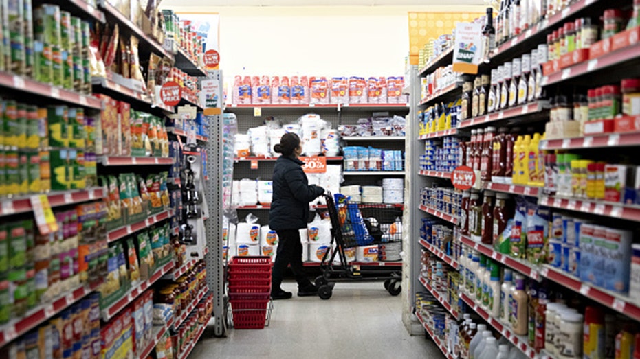 Shopper in Family Dollar store