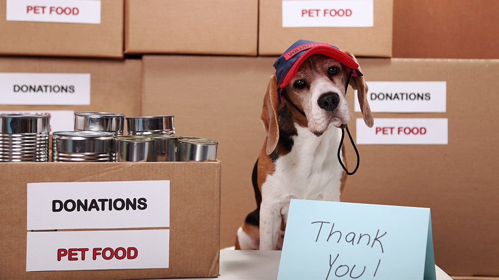 Pet Food Banks Offer Coronavirus Aid Amid Pandemic Fox Business