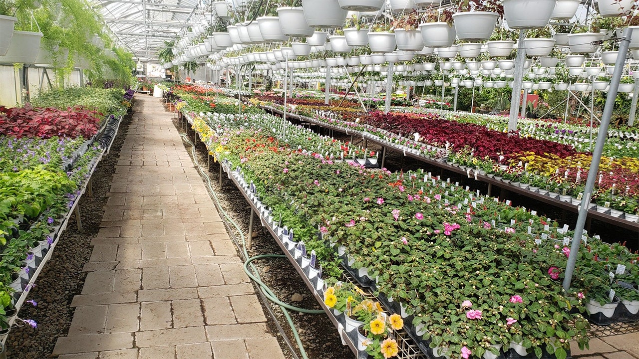 Florists Face Mother S Day Coronavirus Quarantine Challenges Fox Business