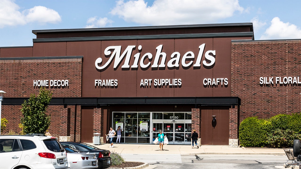 michaels lifestyle frames