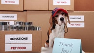 Pet food banks offer coronavirus aid amid pandemic