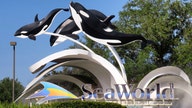 SeaWorld seeking federal coronavirus help, faces backlash