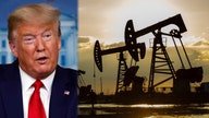 Trump on oil, 'clean coal': US is sitting on 'liquid gold,' yet Biden won't use it