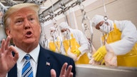 Trump orders meat processing plants to stay open as coronavirus ravages supply