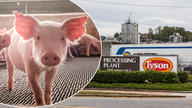 Coronavirus pressure mounts on Tyson Foods after hundreds more workers test positive