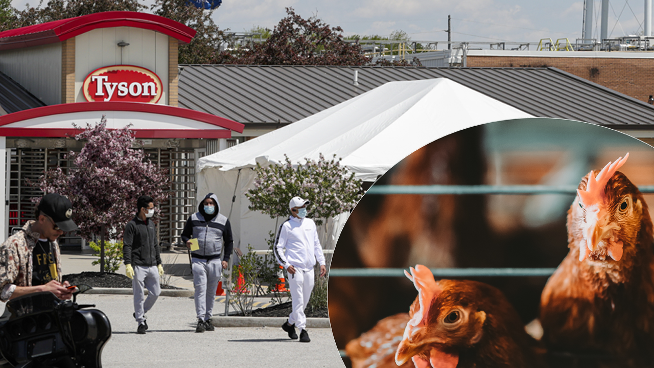 Meat plants still coronavirus hotspots after Tyson reveals quarter of ...
