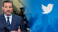 Ted Cruz calls for probe of Twitter over alleged violation of sanctions on Iran