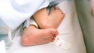 US births fall; coronavirus could cause steeper decline